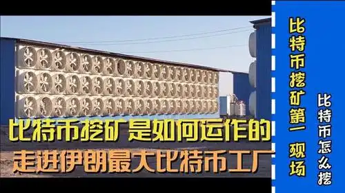 A vast mining farm showcases the scale and infrastructure required for efficient cryptocurrency mining.