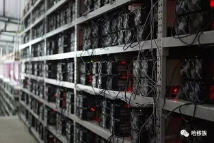 Crypto mining farm with regulatory compliance measures in place