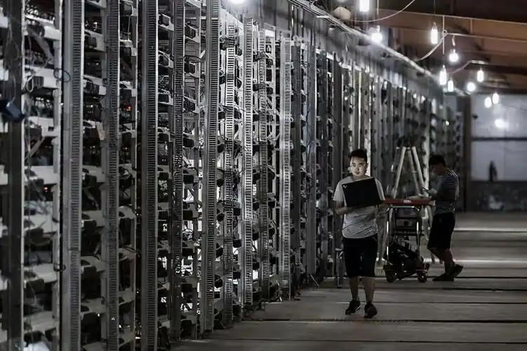 A mining farm with rows of mining rigs, highlighting the scale and infrastructure required for hosted mining.