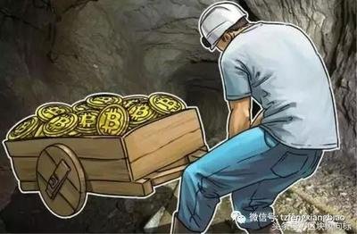 Modern mining farm infrastructure combining efficiency with environmental considerations in Germany