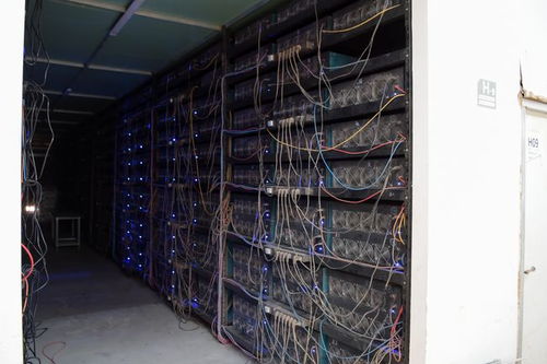 Bitcoin mining rig setup