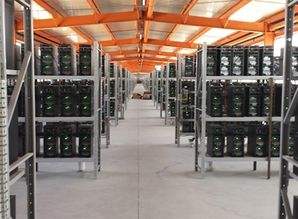 Close-up of a GPU mining rig cooling system