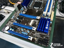 High-performance mining rig operating seamlessly under hosting services