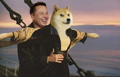 Mining set-up focused on Dogecoin, highlighting efficiency and security