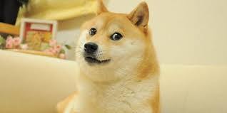 Dogecoin Mining Activity