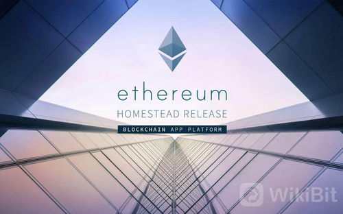 Ether mining rigs in a well-structured hosting facility